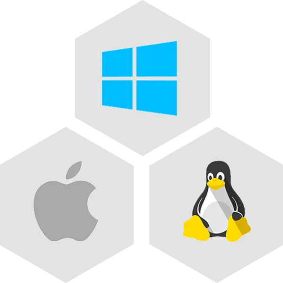 Software